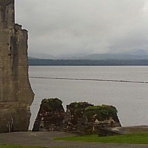 Meet your Posher, Dusty